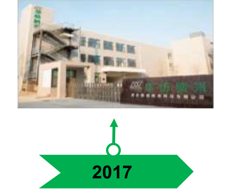 history-2017
